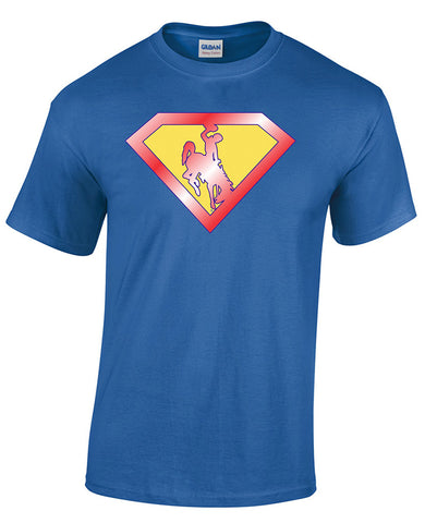 T009 Hero - Super Steamboat