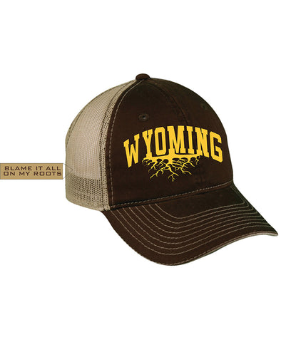 H020 Roots - Brown Wyoming Hat